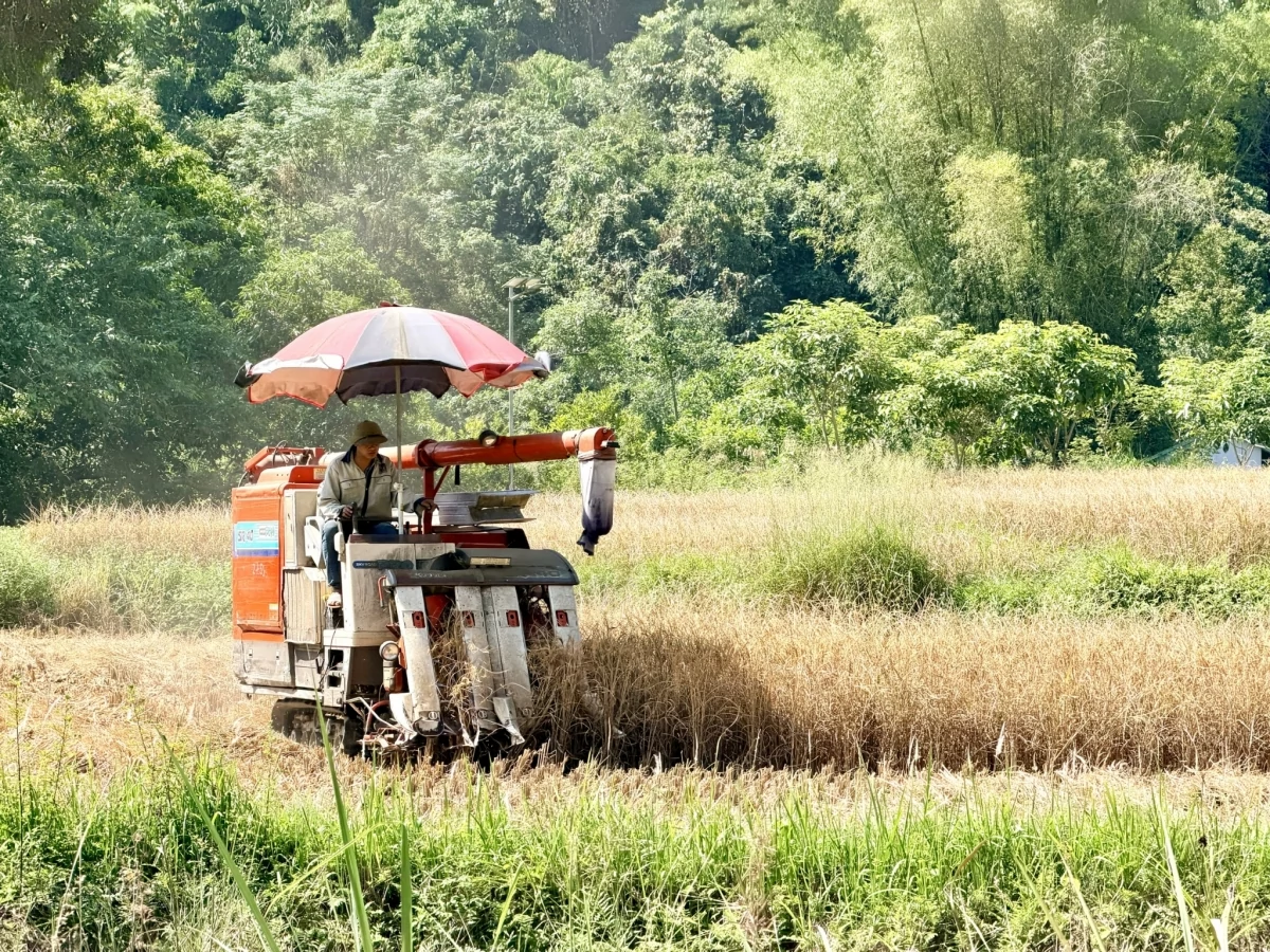 Thêm nguồn lực tạo sinh kế, thúc đẩy giảm nghèo bền vững Thêm nguồn lực tạo sinh kế, thúc đẩy giảm nghèo bền vững