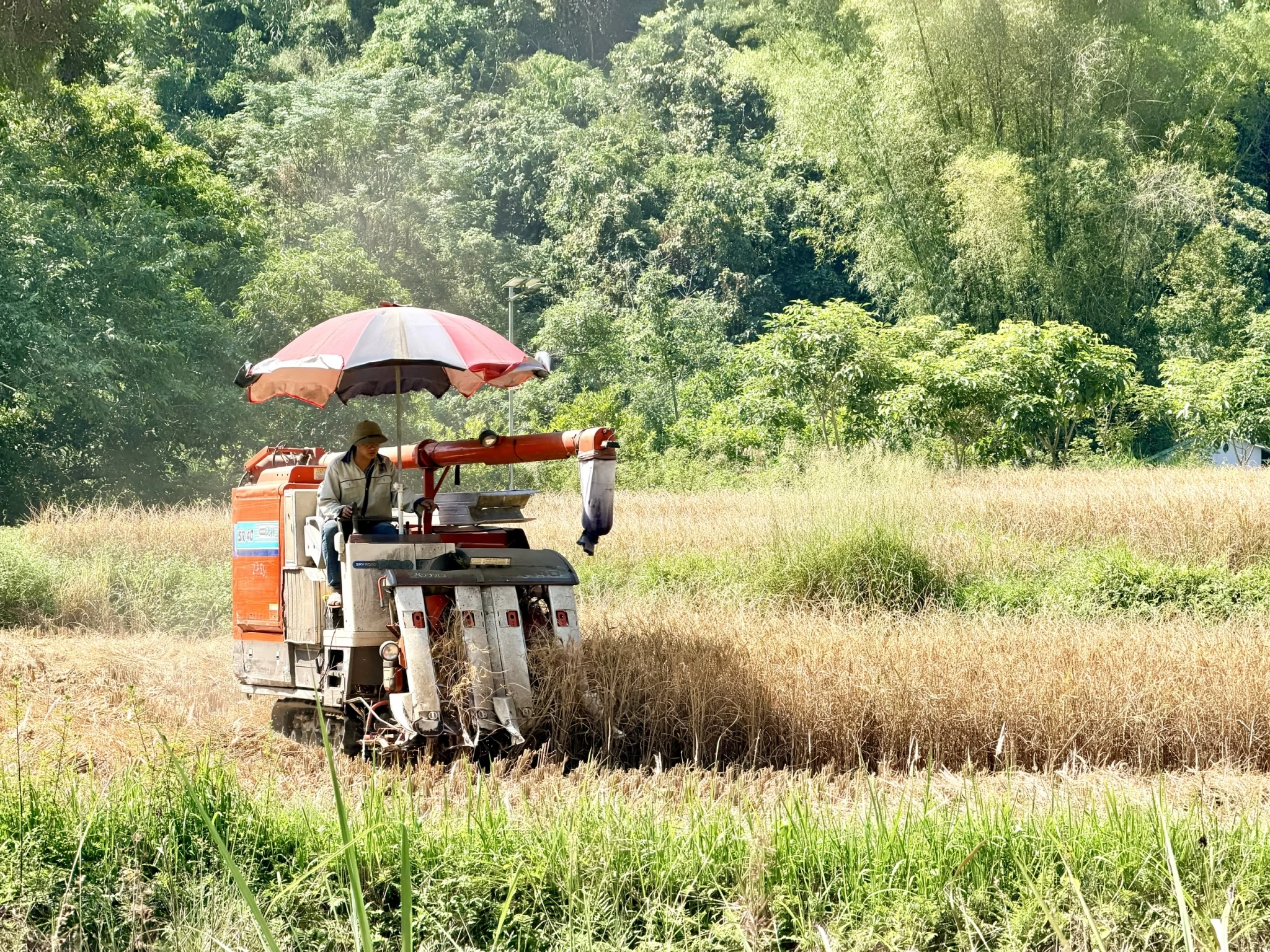 Thêm nguồn lực tạo sinh kế, thúc đẩy giảm nghèo bền vững