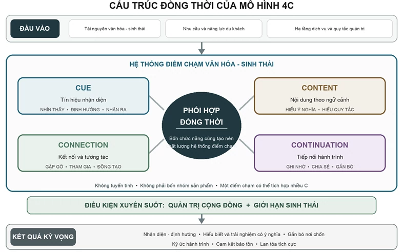 Từ nhận diện đến kết nối: Mô hình 4C thiết kế trải nghiệm điểm chạm tại Cù Lao Chàm