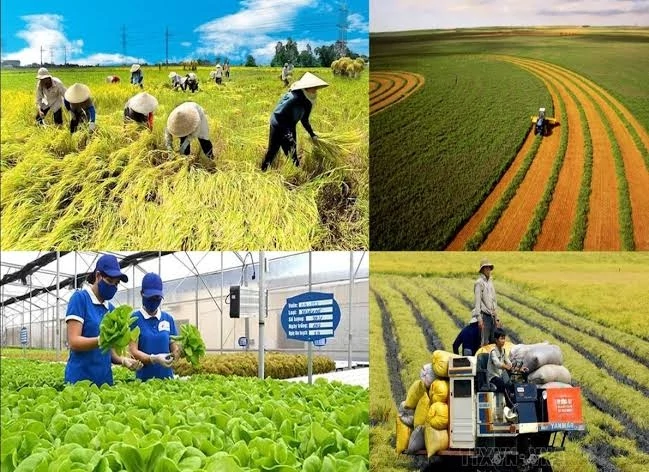 Nếu thuộc diện giảm tiền thuê đất, người sử dụng đất phải làm thủ tục đề nghị giảm theo quy định. Ảnh: Internet.