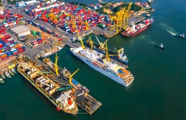 Việt Nam - Đan Mạch: Mở rộng hợp tác thương mại và đầu tư