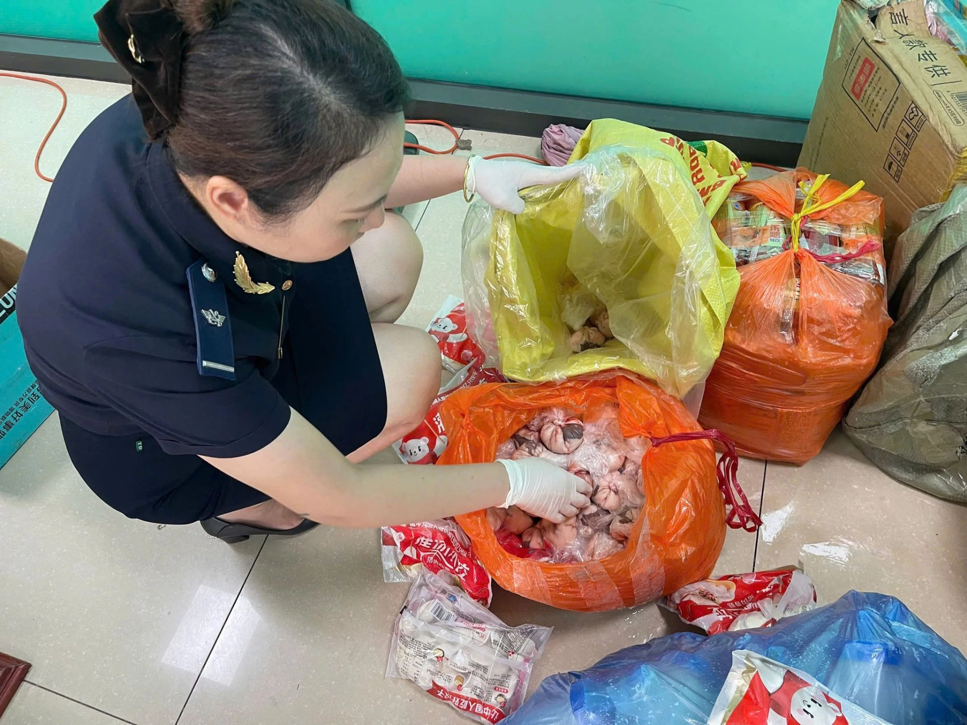 Hải quan khu vực VII thu giữ 275 kg thực phẩm đông lạnh không rõ nguồn gốc