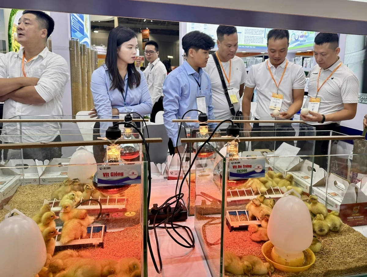 Vietstock 2026 Doanh nghiệp 40 quốc gia tham dự Vietstock, cơ hội vàng cho xuất khẩu của ngành chăn nuôi