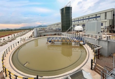 Miza Nghi Sơn tiên phong chuyển đổi xanh với hai dự án tín chỉ carbon tiêu chuẩn quốc tế