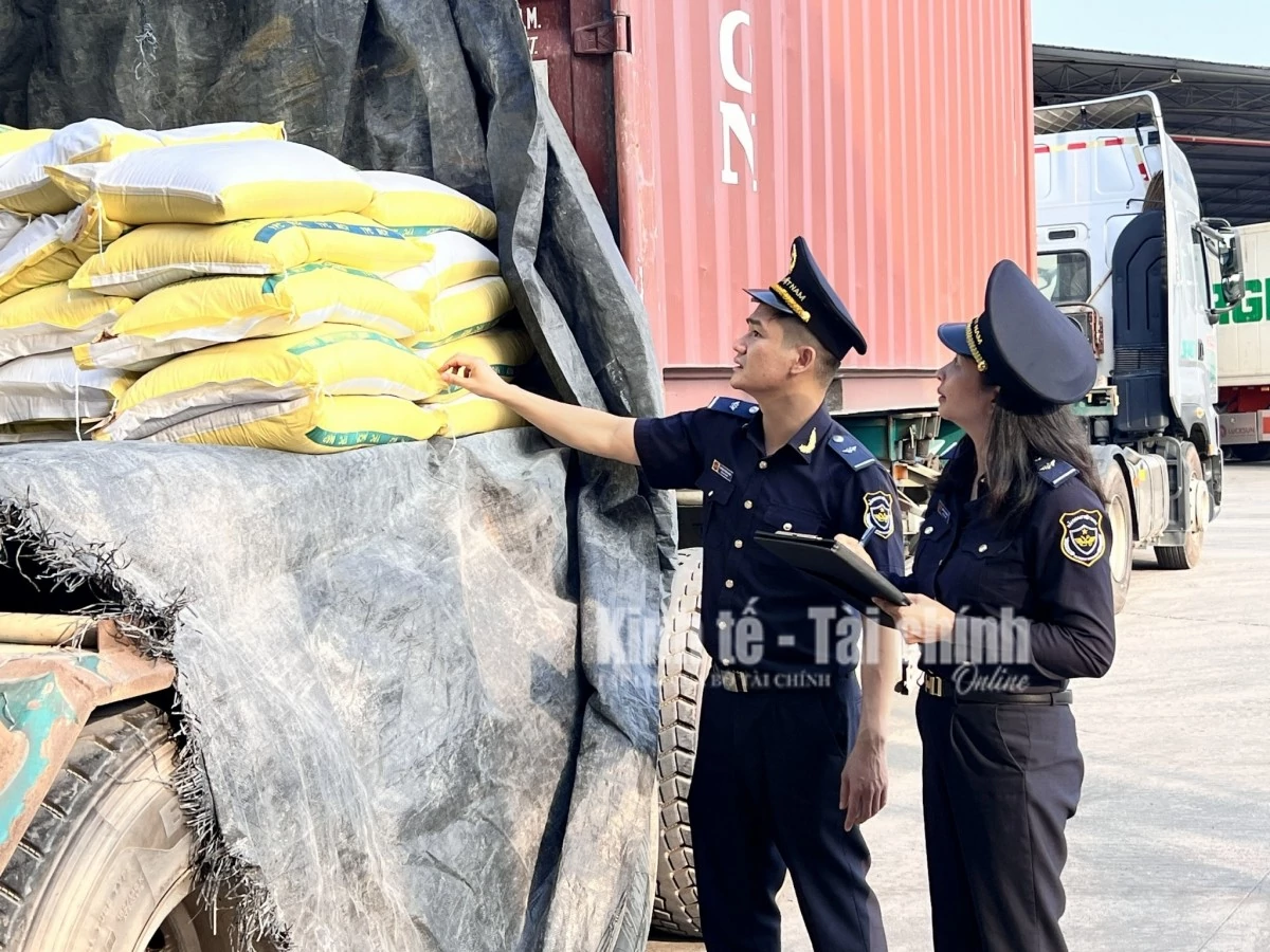 Công chức hải quan kiểm tra hàng hóa tại Trung tâm Logistics Kim Thành. Ảnh: H.Nụ