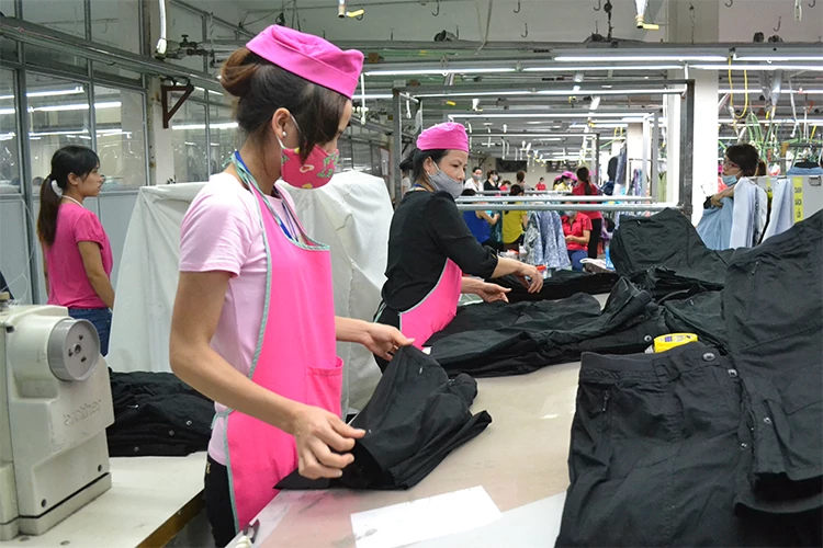 Việc truy thu, truy đóng bảo hiểm xã hội đối với trường hợp tăng lương hồi tố căn cứ theo quy định của Luật Bảo hiểm xã hội năm 2024.