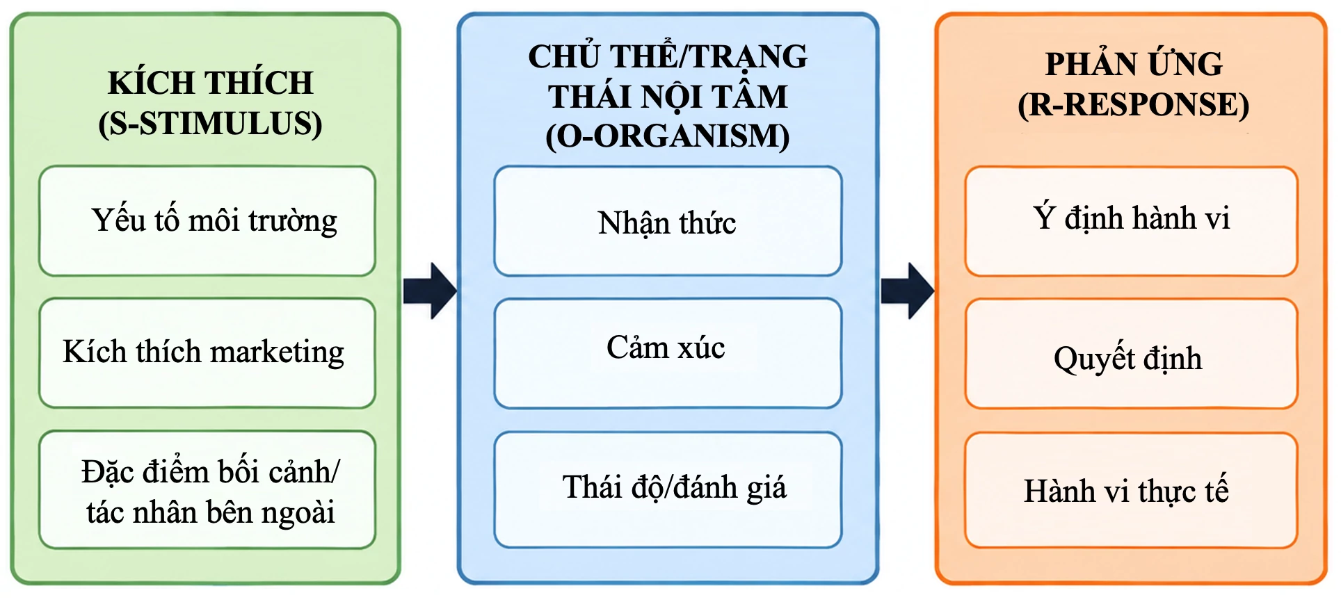 Trải nghiệm người tiêu dùng, marketing xanh, hình ảnh thương hiệu xanh và sự hài lòng của người tiêu dùng: Khung nghiên cứu đề xuất