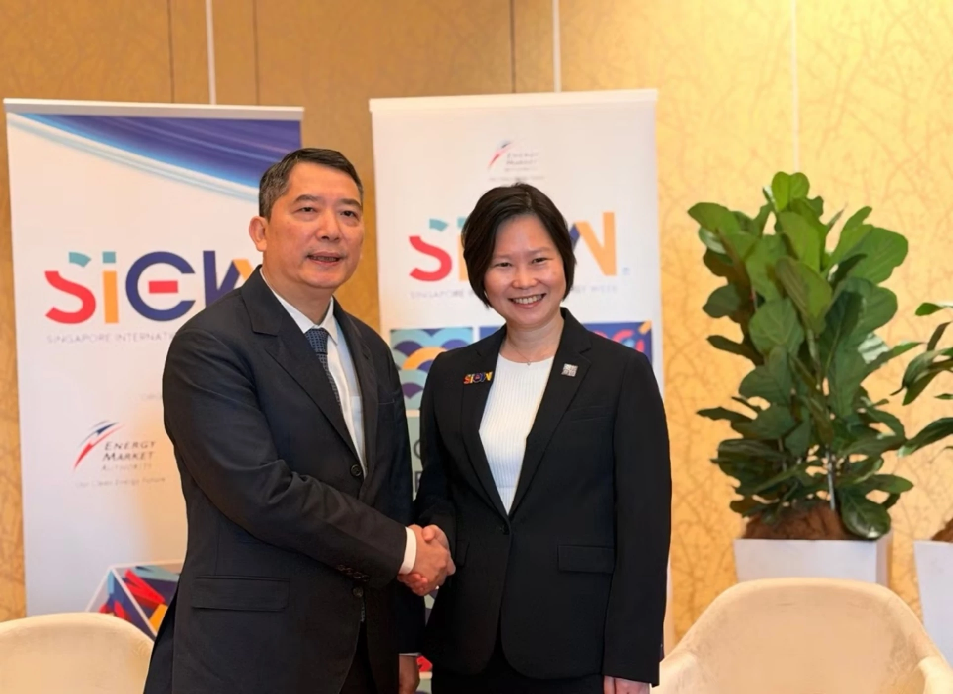Dự án điện Việt Nam - Malaysia - Singapore có bước tiến mới