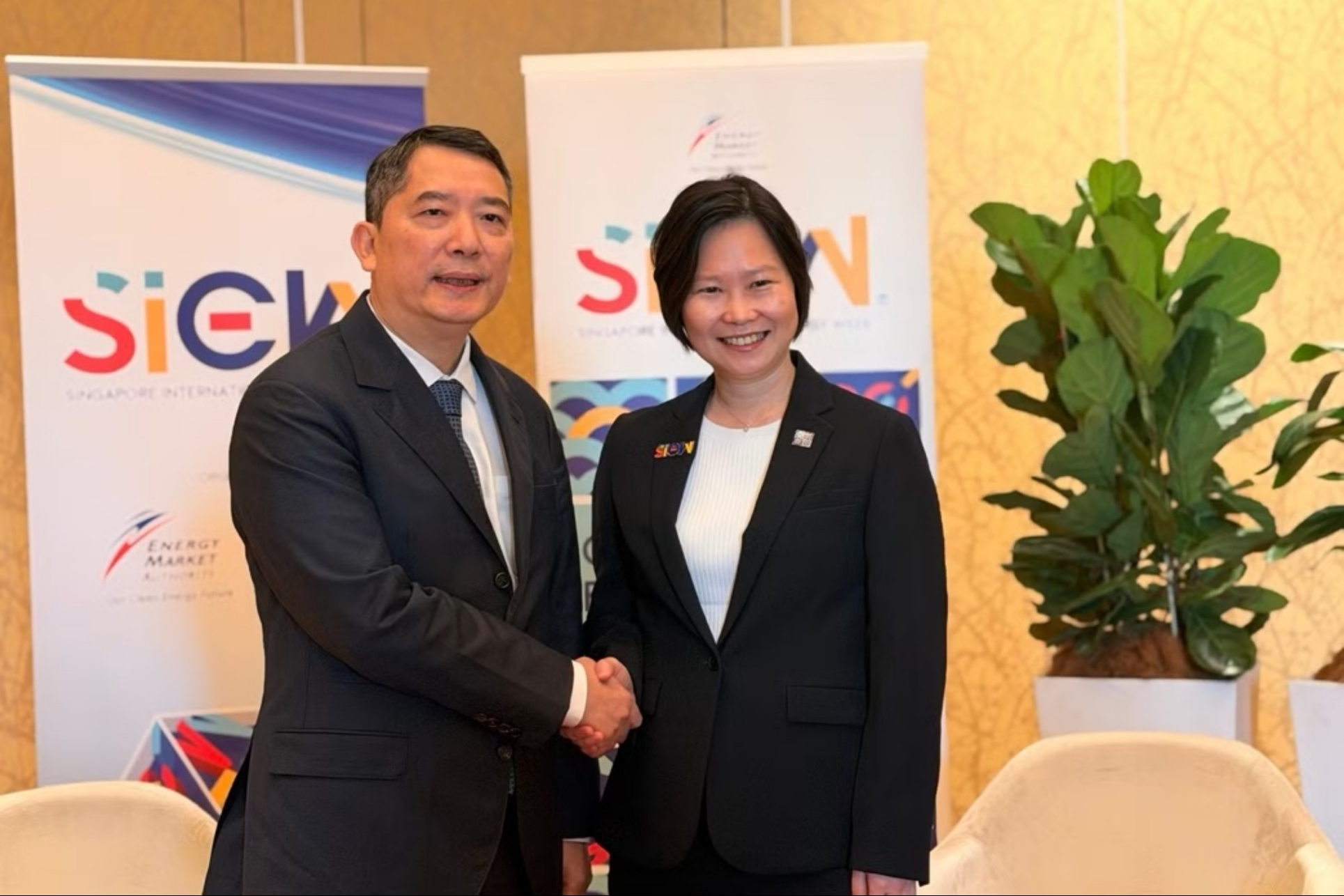 Dự án điện Việt Nam - Malaysia - Singapore có bước tiến mới