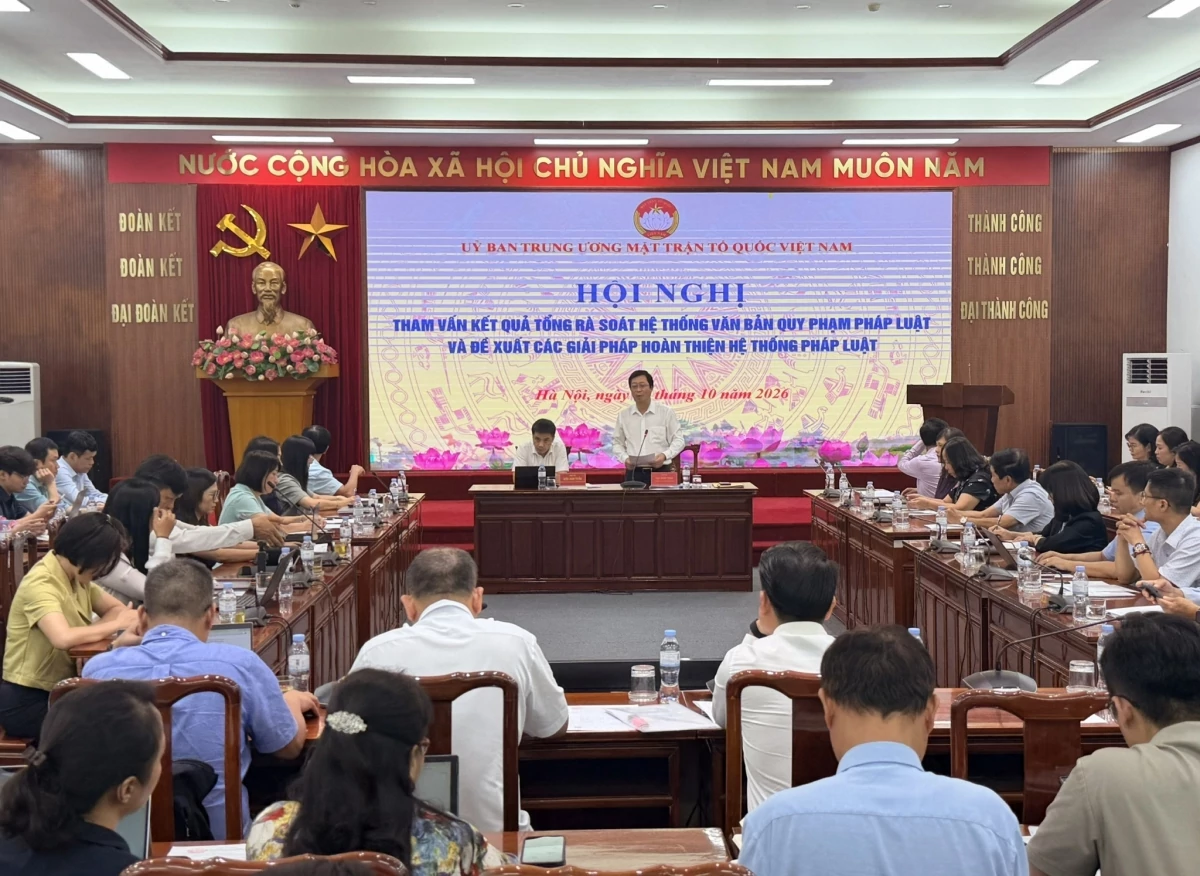 pháp luật