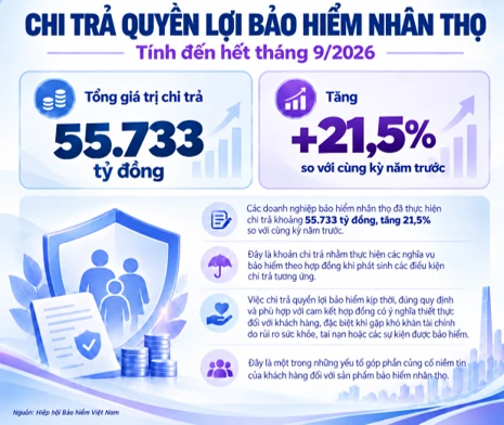 Kênh phân phối nào đóng góp tỷ trọng cao nhất trên thị trưởng bảo hiểm nhân thọ? Kênh phân phối nào đóng góp tỷ trọng cao nhất trên thị trưởng bảo hiểm nhân thọ?