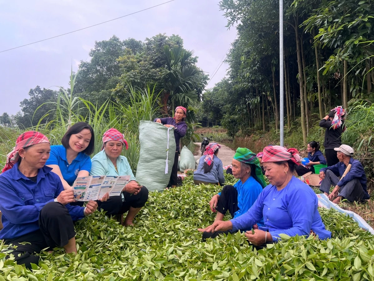 Bảo hiểm xã hội tỉnh Lào Cai thi đua nước rút, quyết tâm hoàn thành các chỉ tiêu năm 2026
