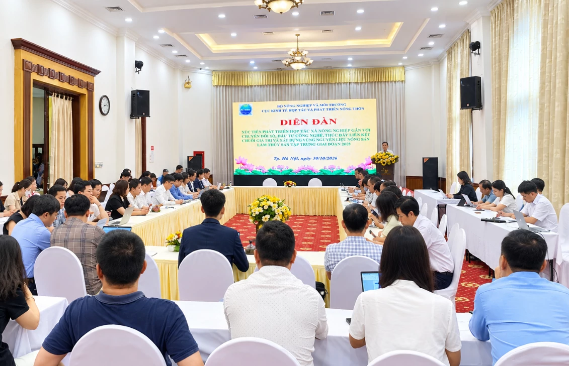 Hợp tác xã muốn dẫn dắt chuỗi giá trị, cần gỡ những “nút thắt” nào? Hợp tác xã muốn dẫn dắt chuỗi giá trị, cần gỡ những “nút thắt” nào?