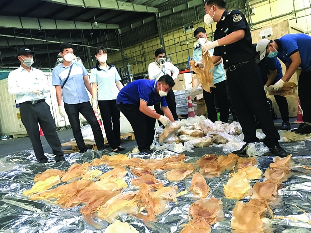Doanh nghiệp nhập khẩu trái phép lô bóng cá từ chối nhận hàng. 	Ảnh: T.H