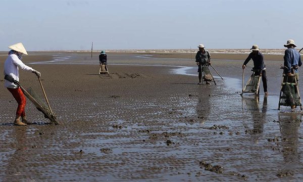 Huyện Thạnh Phú (Bến Tre): Vận động người dân các xã bãi ngang tham gia BHYT