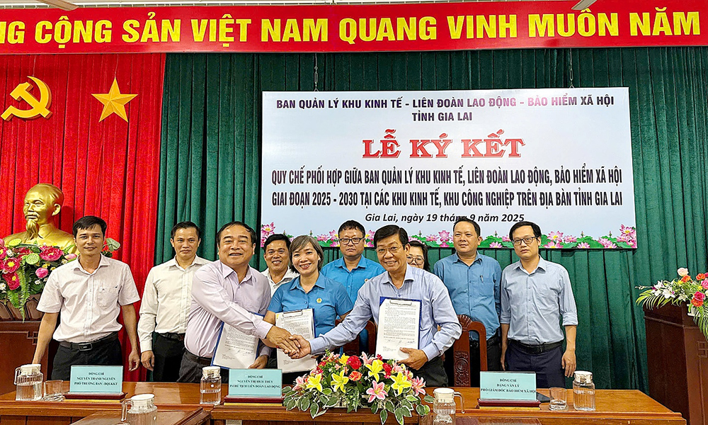 Gia Lai: Phấn đấu 100% DN, người lao động trong KKT, KCN tham gia đầy đủ BHXH, BHYT