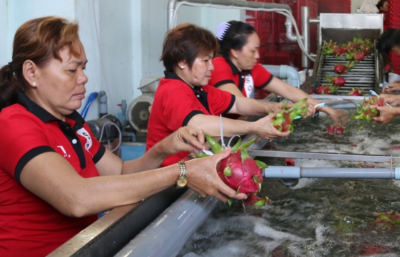 Trung Quốc không yêu cầu Giấy chứng nhận đăng ký và nộp phí với nông sản xuất khẩu