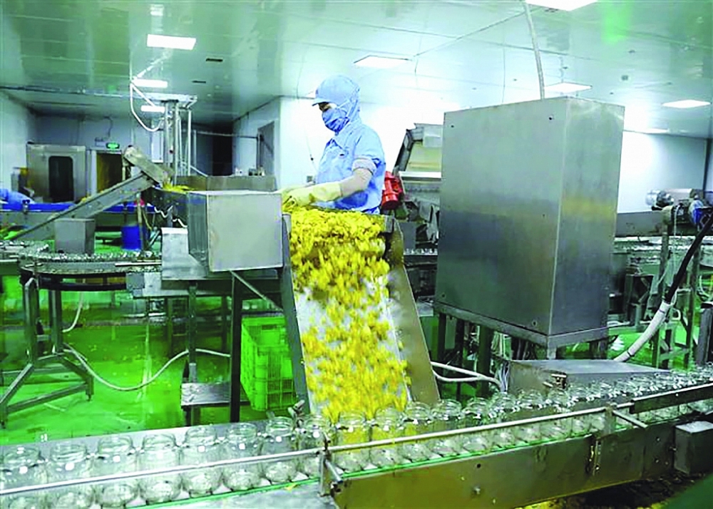 Tại thị trường thực phẩm Hanal, các nhóm sản phẩm có lợi thế của Việt Nam như trà, thủy sản hay các sản phẩm có nguồn gốc trồng trọt.	 Ảnh: TTXVN