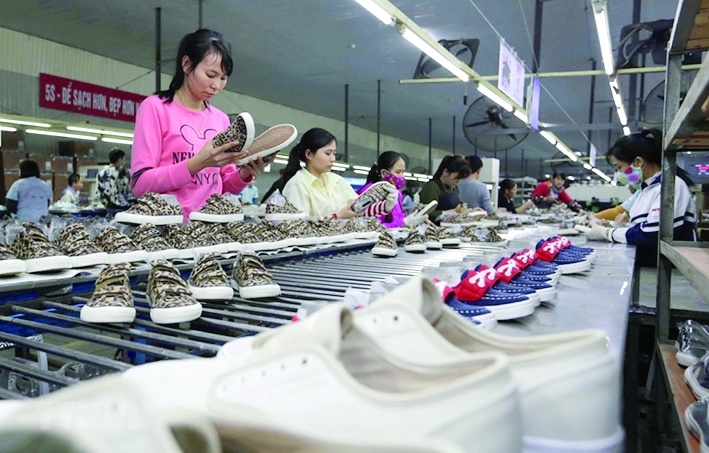 Doanh nghiệp gia tăng tận dụng ưu đãi xuất xứ hàng hóa của EVFTA