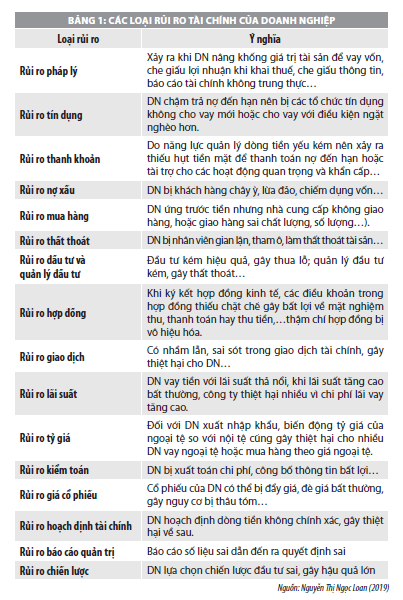 Phân tích rủi ro tài chính tại doanh nghiệp  - Ảnh 1