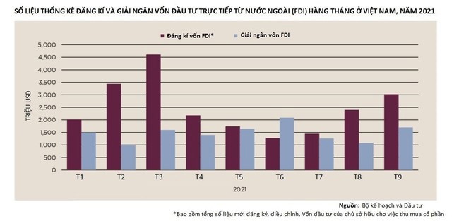 Doanh nghiệp ngoại đua nhau rót vốn vào bất động sản Việt Nam trong dịch - Ảnh 1