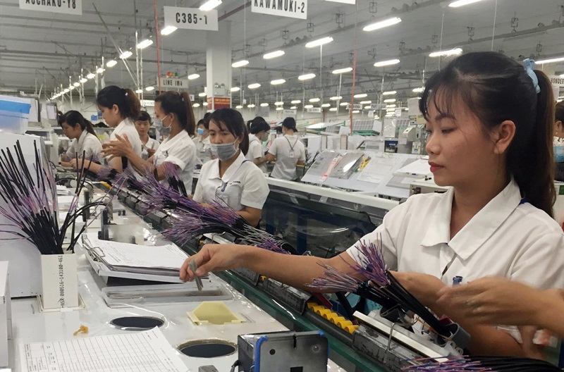 Ảnh minh họa. Nguồn: Internet