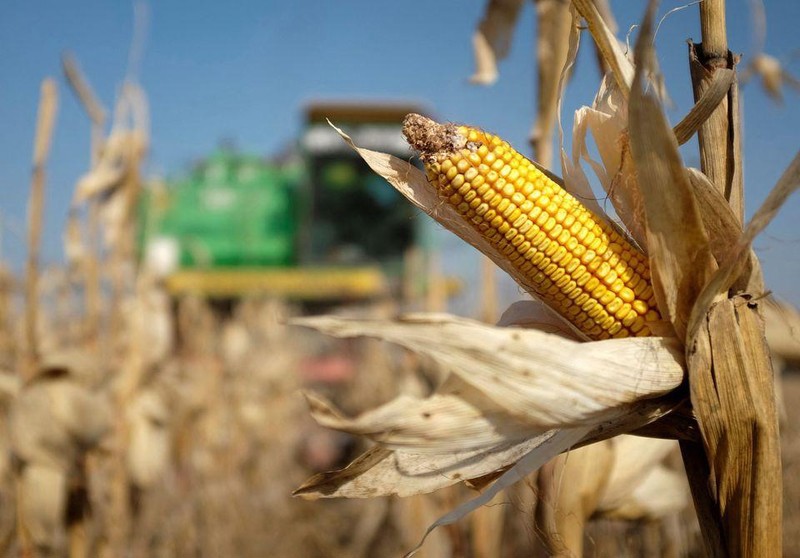 Ảnh minh họa. Nguồn: Internet