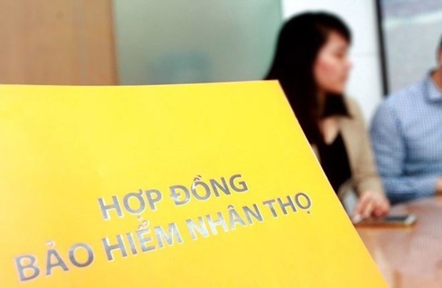 Hợp đồng bảo hiểm hiện nay thường dài, phức tạp và khó hiểu.