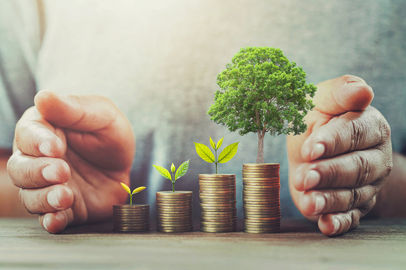 Giải pháp phát triển tài chính vi mô ở Việt Nam