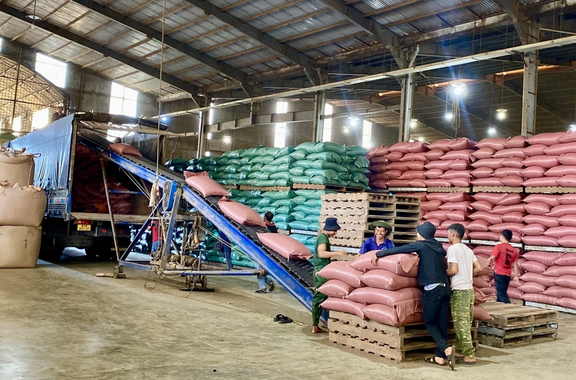 Gia Lai đang triển khai nhiều giải pháp để 