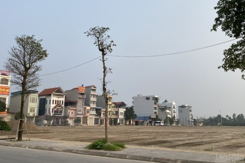 Nhà đầu tư cẩn trọng tránh cuốn theo cơn sốt 