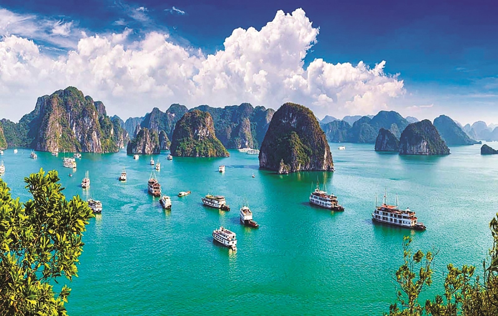 Khuyến khích doanh nghiệp phát triển du lịch xanh