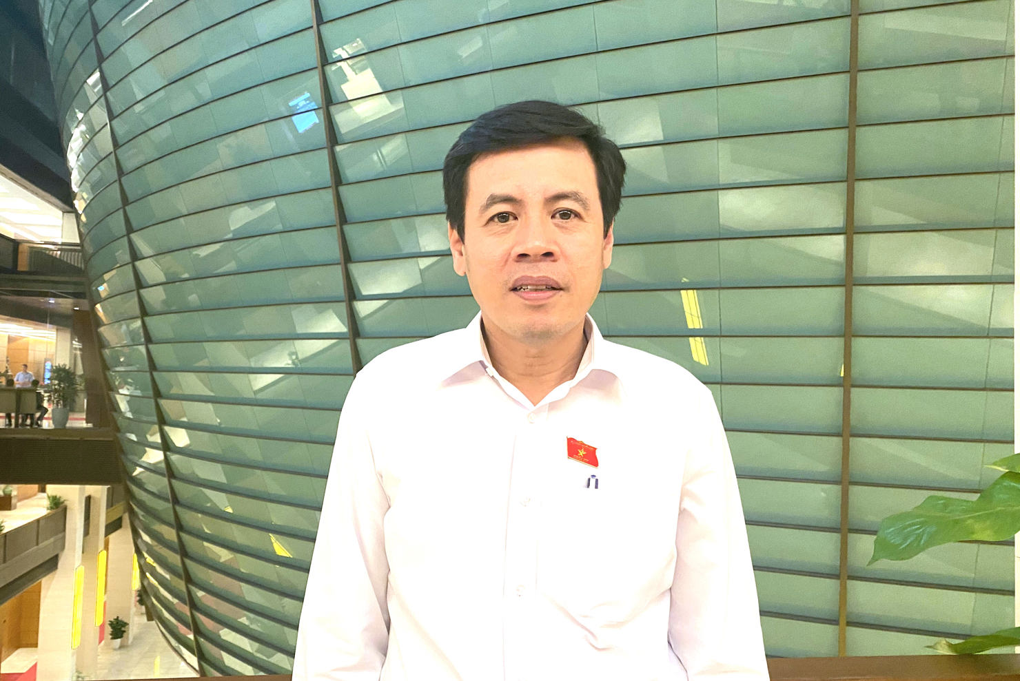 Đại biểu Trần Anh Tuấn - Ủy viên Ủy ban Kinh tế của Quốc hội, đại biểu Quốc hội TP. Hồ Chí Minh.