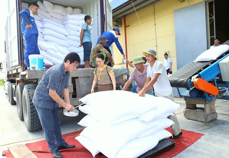 Qua hoạt động kiểm tra, giám sát góp phần nâng cao ý thức, trách nhiệm của cán bộ, công chức, người lao động trong ngành DTNN trong quản lý chất lượng gạo DTQG. Ảnh: Văn Trường.