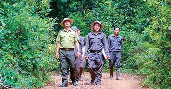 Đến ngày 25/11/2024 đã chuẩn bị được 1.039,23 triệu cây giống các loại phục vụ cho kế hoạch trồng rừng năm 2024, bằng 100,7% so với cùng kỳ năm 2023.