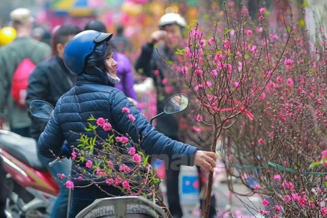 Thời tiết dịp Tết Dương lịch 2025 như thế nào?