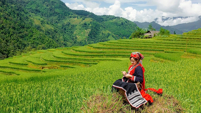 Vẻ đẹp của ruộng bậc thang Hoàng Su Phì.  