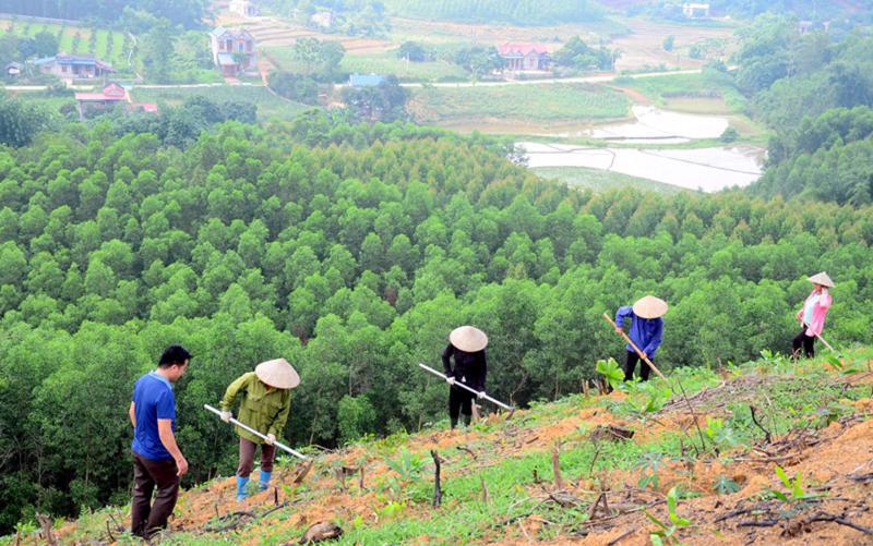 Chi cục DTNN khu vực VII xuất cấp 167,173 tấn gạo hỗ trợ người dân bảo vệ rừng.