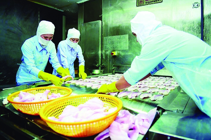 Chế biến thủy sản xuất khẩu. Ảnh minh họa: XT