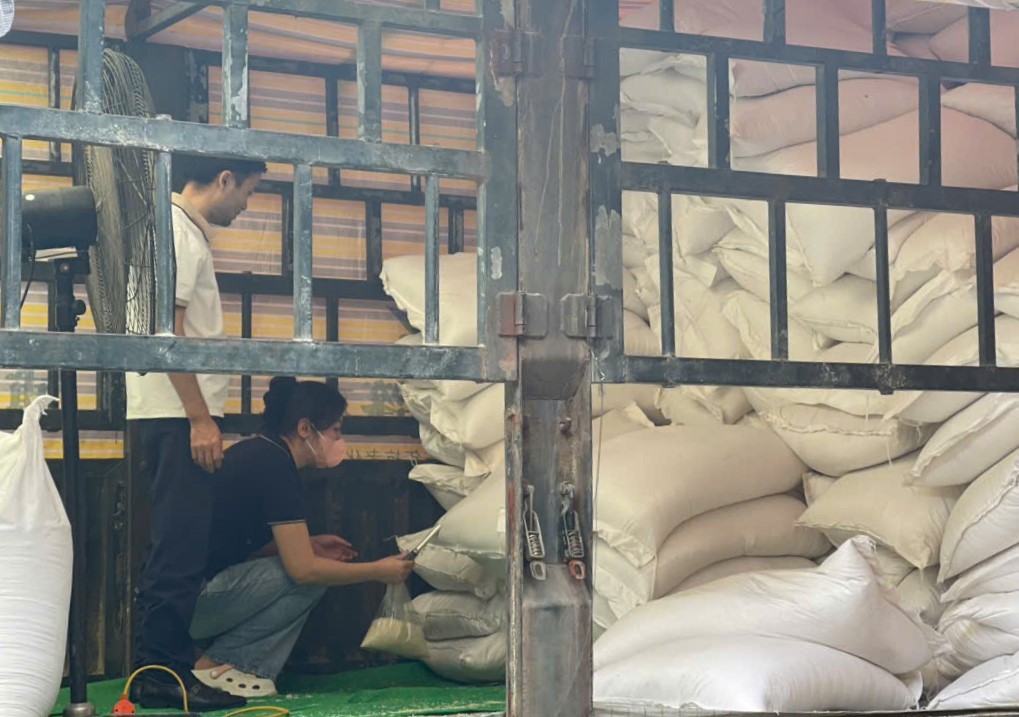 Kỹ thuật viên kiểm tra chất lượng gạo trước khi nhập kho.