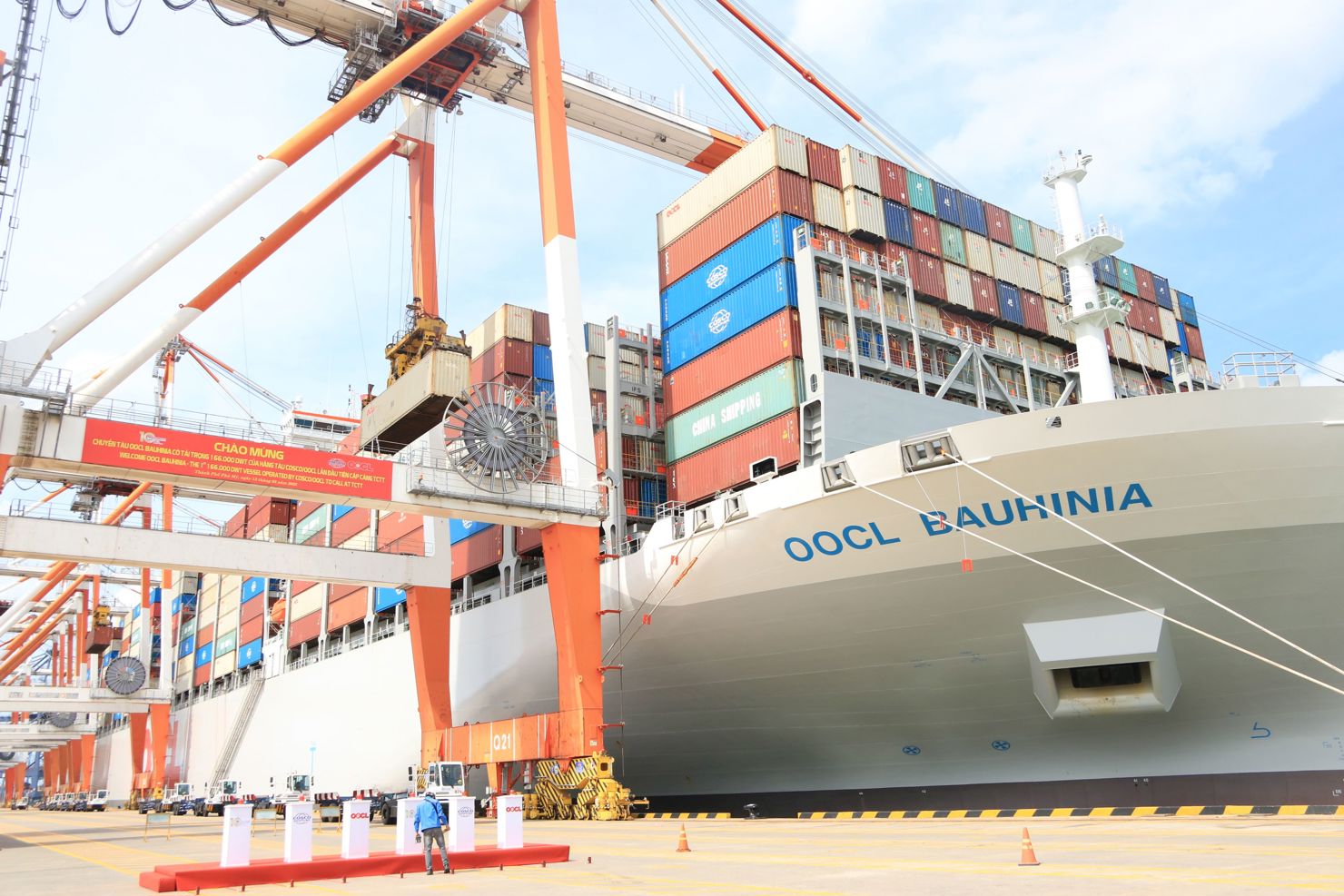 Cảng Tân Cảng - Cái Mép Thị Vải (TCTT) đón tàu OOCL Bauhinia, tải trọng 165.311 DWT lần đầu tiên cập cảng làm hàng