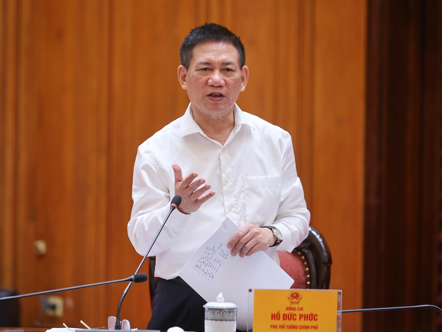 Phó Thủ tướng Chính phủ Hồ Đức Phớc phát biểu tại cuộc họp. Ảnh: VGP/Nhật Bắc