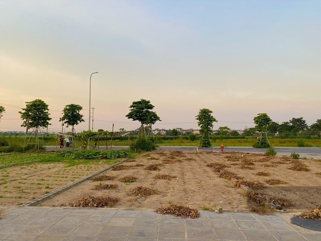 Nhà đầu tư đất nền chuyển cách nhìn: Từ đầu cơ sang nắm giữ ổn định
