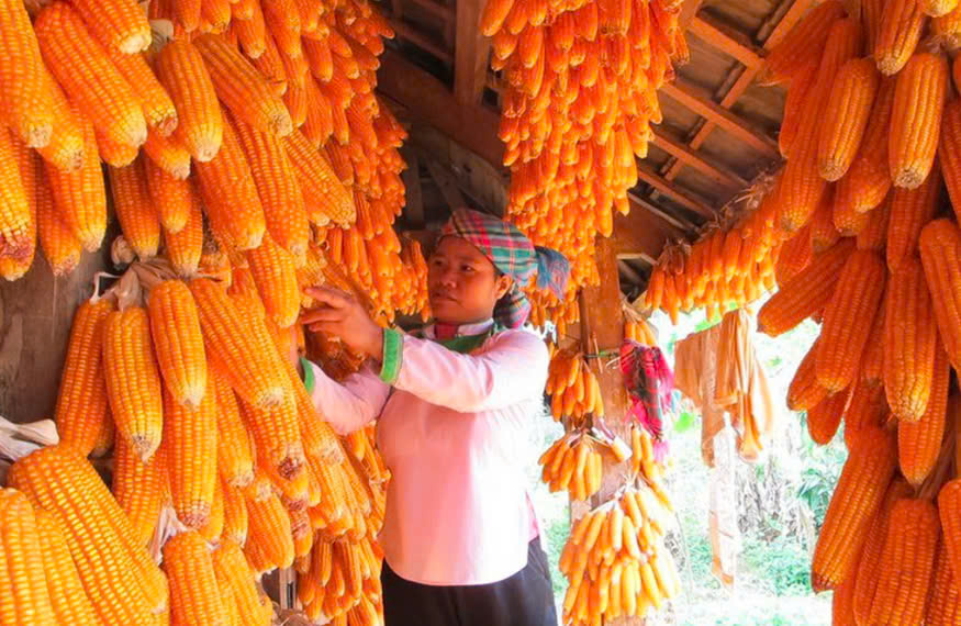 Lai Châu hướng tới mục tiêu giảm nghèo đa chiều, không ai bị bỏ lại phía sau
