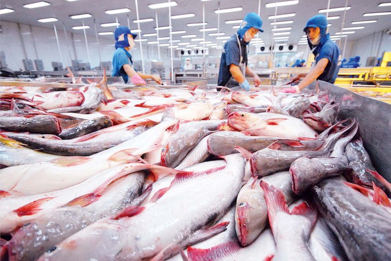 Thuỷ sản là một trong những mặt hàng xuất khẩu chính của Việt Nam sang Mexico.