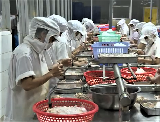Việt Nam xuất khẩu nông, lâm, thủy sản duy trì mức tăng trưởng trên 10%/năm
