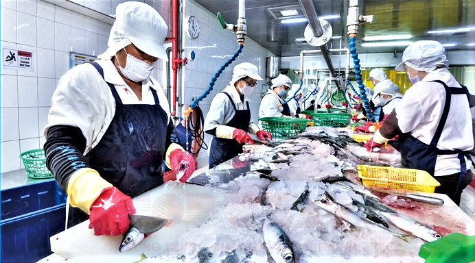 Công nghiệp chế biến nông sản tạo nền tảng cho nông nghiệp Việt Nam hiện đại và bền vững