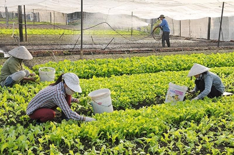 Nông nghiệp Việt Nam với phương hướng phát triển xanh, bền vững