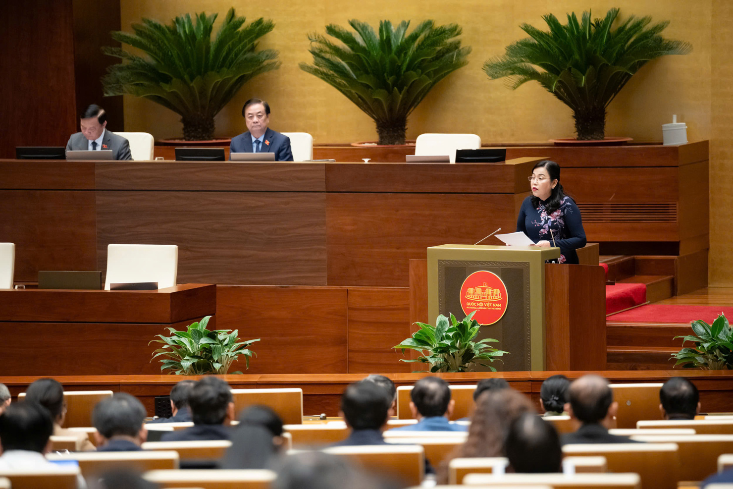 Chủ nhiệm Ủy ban Khoa học, Công nghệ và Môi trường Nguyễn Thanh Hải báo cáo thẩm tra.