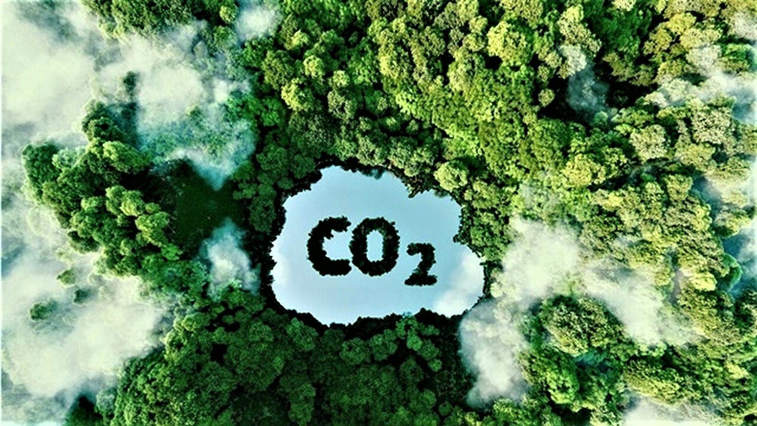 Tín chỉ carbon rừng nguồn tài chính mới giúp nâng cao thu nhập của cộng đồng, bảo vệ và phát triển rừng.